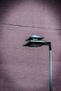 Chinese lamp post in BostonÃ¢â¬â¢s Chinatown